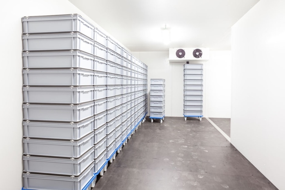Cool Solutions: How Cold Storage Solves Storage Challenges