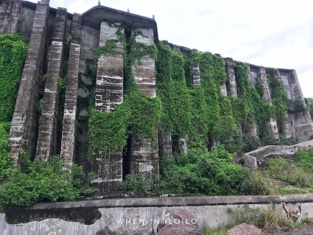 The Ruins: Where History Speaks in Silence