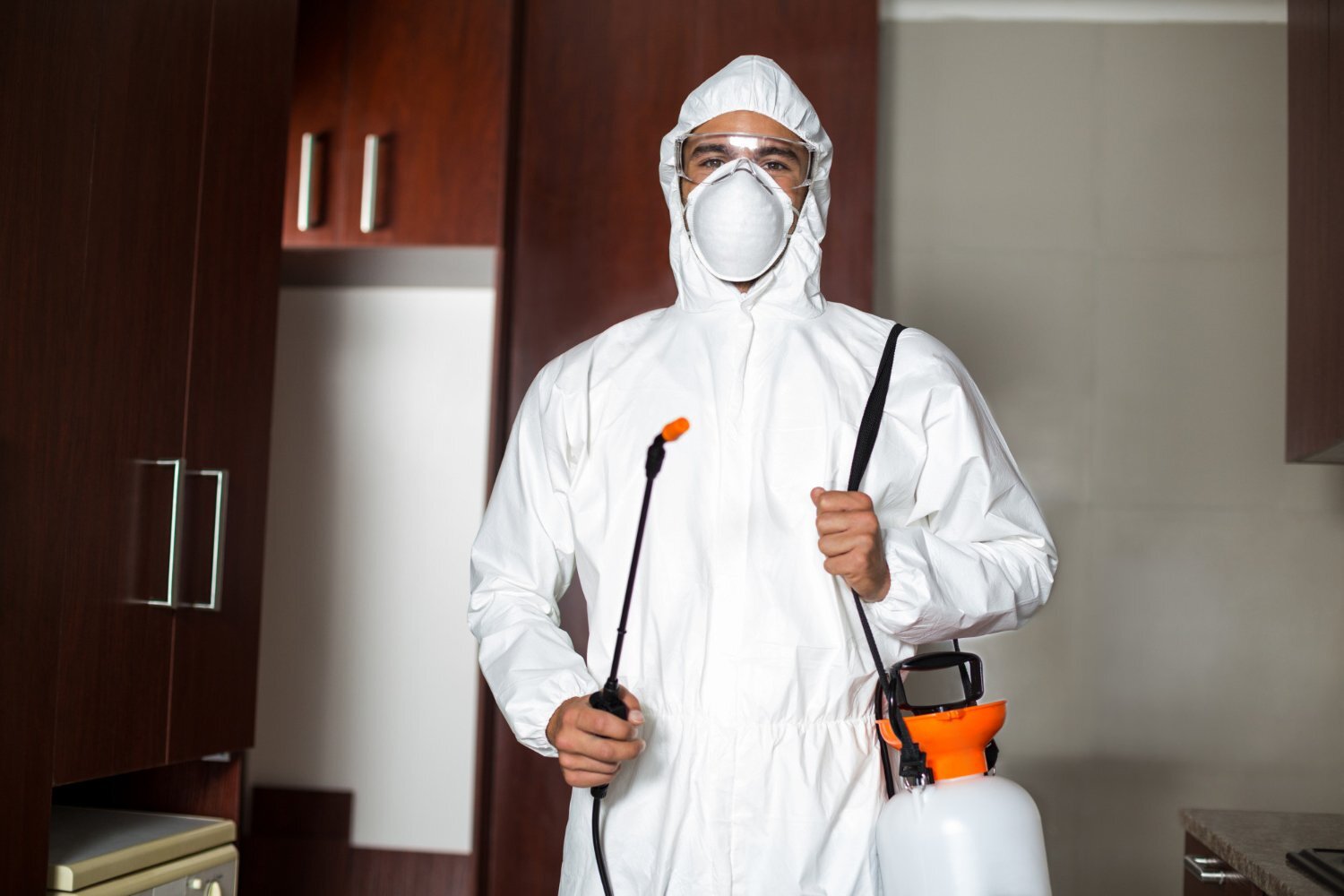 Creating a Pest-Free Haven Proactive Pest Control Strategies for a Healthy Home