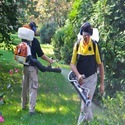 Residential Pest Control Services: Creating a Safe Haven for Your Family