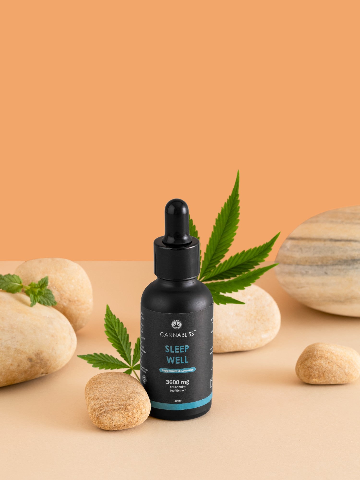 Toronto's Favorite CBD Oil Recipes: Delicious and Nutritious